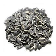 تخمه کانادایی درجه یک فله- 500 گرم