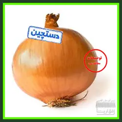 پیاز سایز بزرگ ، سورت شده ، درجه یک ، یک کیلو گرم