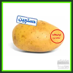 سیب زمینی سایز بزرگ ، سورت شده ، درجه یک ، یک کیلو گرم