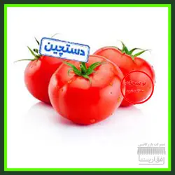 گوجه فرنگی ، سورت شده ، درجه یک ، یک کیلو گرم