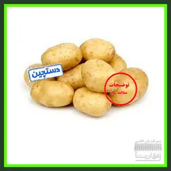 سیب زمینی سایز متوسط ، سورت شده ، درجه یک ، یک کیلوگرم