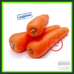 هویج سایز بزرگ ، سورت شده ، یک کیلو گرم