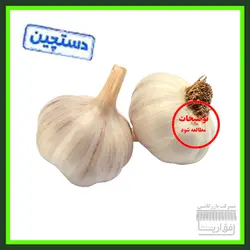 سیر خشک ، سورت شده ، درجه یک -  250 گرم