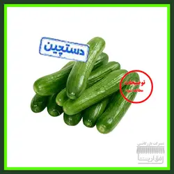 خیار گلخانه ای ، سورت شده ، درجه یک ، یک کیلو گرم