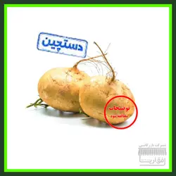 شلغم ، سورت شده ، درجه یک ، یک کیلو گرم