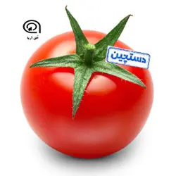 گوجه فرنگی  درجه یک و دست چین شده - یک کیلوگرم