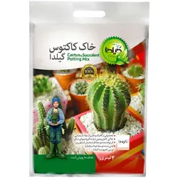 قیمت و خرید خاک کاکتوس و ساکولنت گیلدا مدل GC04L حجم 4 لیتر | بوتانیک