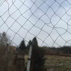 تور هوایی پرندگان 5×10 متر