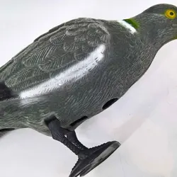 ماکت کبوتر باغی