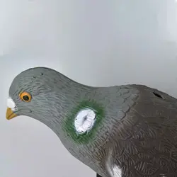 ماکت کبوتر باغی