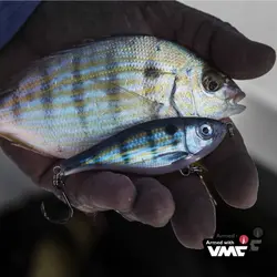 قلاب ماهیگیری VMC کد 7237 سایز 1.0 (بسته10عددی)