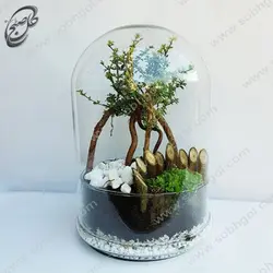 خرید گل آنلاین - تراریوم سریزا (مورد فرانسوی)  طرح T-060