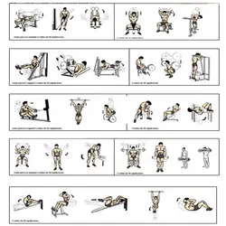 برنامه تمرینی بدنسازی ویژه