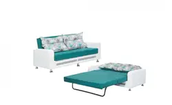 مبل تختخواب شو دو نفره لاریکس | خرید مبل تختشو از جاجیم