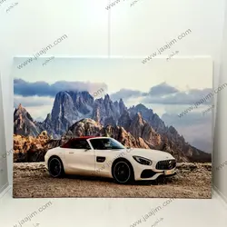 تابلو چهره زن سیاه و سفید مدرن با پر رنگی در سر کد T1t201 | ارسال رایگان | جاجیم