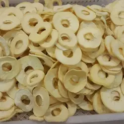 خشک کن میوه خانگی گازی - قیمت و مشخصات خشک کن میوه 20 کیلویی