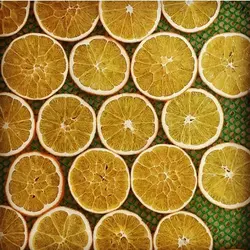 خشک کن میوه 90 سینی 3کابین | گازی