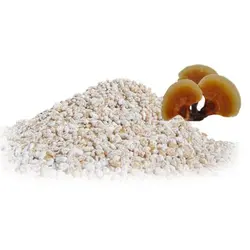 بذر قارچ گانودرما (بسته 1 کیلویی)