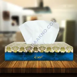 دستمال كاغذی جعبه ای تکلان 200 برگ (100 برگ دولا) بسته 48 عددی - پاکنو