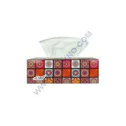 دستمال كاغذی جعبه ای تکلان 300 برگ (150 برگ دولا) بسته 36 عددی - پاکنو