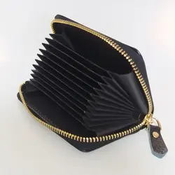 کیف کارت ترمو آکاردئونی