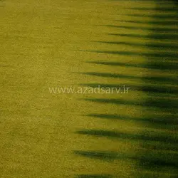 گلیم دستباف یک و نیم متری آزادسرو کد 7118 - آزادسرو
