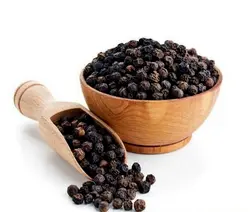 بذر فلفل سیاه گرد <br> بسته 10 عددی <br> Black Pepper <br><i><b> Piper nigrum </i> Seeds </b>