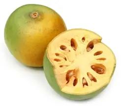 بذر بائل <br> (مرکبات پنبه ای) <br> بسته 5 عددی <br> Bael Fruit <br><i><b> Aegle marmelos </i> Seeds </b>