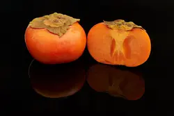 بذر خرمالو ژاپنی <br> بسته یک عددی <br> Japanese Persimmon <br><i><b> Diospyros kaki </i> Seeds </b>