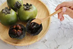 بذر ساپوت سیاه <br> بسته یک عددی <br> Black Sapote <br><i><b> Diospyros nigra </i> Seeds </b>