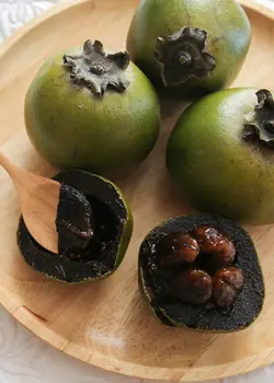 بذر ساپوت سیاه <br> بسته یک عددی <br> Black Sapote <br><i><b> Diospyros nigra </i> Seeds </b>
