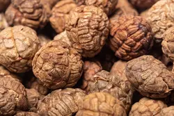 بذر زنجبیل سردسیری <br> بسته 5 عددی <br> Pink Perfection Ginger <br><i><b> Alpinia hainanensis </i> Seeds </b>