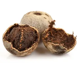 بذر سیب چوبی <br> (مرکبات چوبی) <br> بسته 5 عددی <br> Wood Apple <br><i><b> Limonia acidissima </i> Seeds </b>