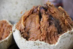 بذر سیب چوبی <br> (مرکبات چوبی) <br> بسته 5 عددی <br> Wood Apple <br><i><b> Limonia acidissima </i> Seeds </b>