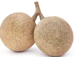 بذر سیب چوبی <br> (مرکبات چوبی) <br> بسته 5 عددی <br> Wood Apple <br><i><b> Limonia acidissima </i> Seeds </b>