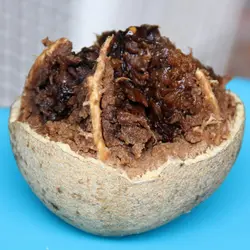 بذر سیب چوبی <br> (مرکبات چوبی) <br> بسته 5 عددی <br> Wood Apple <br><i><b> Limonia acidissima </i> Seeds </b>