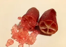 بذر لیمو خاویاری <br> (لیمو انگشتی) <br> بسته یک عددی <br> Finger Lime <br><i><b> Citrus australasica </i> Seeds </b>