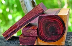 بذر درخت دالبرجیا (رز وود) <br>  بسته یک عددی <br> Siamese Rosewood <br><i><b> Dalbergia cochinchinensis </i> Seeds </b>