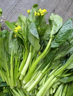 بذر سبزیجات چوی سام <br> بسته 20 عددی <br> Choy Sum <br><i><b> Brassica rapa var. parachinensis </i> Seeds </b>