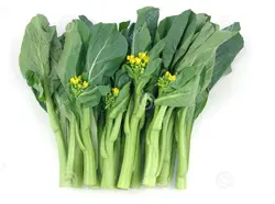 بذر سبزیجات چوی سام <br> بسته 20 عددی <br> Choy Sum <br><i><b> Brassica rapa var. parachinensis </i> Seeds </b>