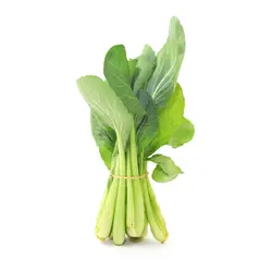 بذر سبزیجات چوی سام <br> بسته 20 عددی <br> Choy Sum <br><i><b> Brassica rapa var. parachinensis </i> Seeds </b>