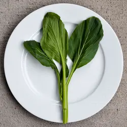 بذر سبزیجات چوی سام <br> بسته 20 عددی <br> Choy Sum <br><i><b> Brassica rapa var. parachinensis </i> Seeds </b>