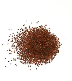بذر آب تره (بولاغ اوتی) <br> بسته 20 عددی <br> Water Cress <br><i><b> Nasturtium officinale </i> Seeds </b>