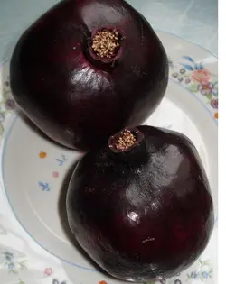 بذر انار سیاه <br> بسته 5 عددی <br> Black Pomegranate Seeds <br><i><b> Punica granatum Black </i> Seeds</b>