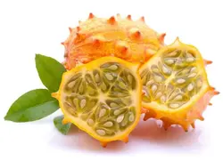 بذر خربزه شاخدار آفریقایی  (کیوانو) <br> بسته 10 عددی <br> Kiwano Seeds <br> Cucumis metuliferus Seeds