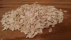 بذر خربزه شاخدار آفریقایی  (کیوانو) <br> بسته 10 عددی <br> Kiwano Seeds <br> Cucumis metuliferus Seeds