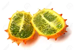 بذر خربزه شاخدار آفریقایی  (کیوانو) <br> بسته 10 عددی <br> Kiwano Seeds <br> Cucumis metuliferus Seeds