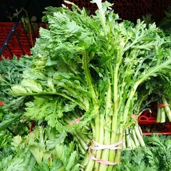 بذر داوودی خوراکی <br> بسته 50 عددی <br> Edible Chrysanthemum Seeds <br><i><b> Glebionis coronaria </i></b>