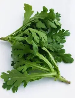 بذر داوودی خوراکی <br> بسته 50 عددی <br> Edible Chrysanthemum Seeds <br><i><b> Glebionis coronaria </i></b>