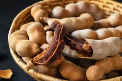 بذر تمر هندی <br> تعداد 1 عدد بذر <br> Tamarind Seeds <br><i><b> Tamarindus indica </i> Seeds </b>
